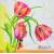 Serwetka do decoupage firmy HOME FASHION tulipany 33x33cm